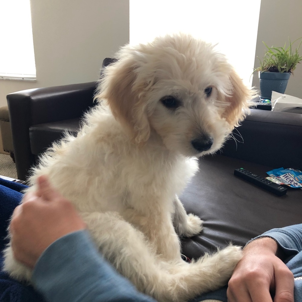 Meet your Posher, Katy